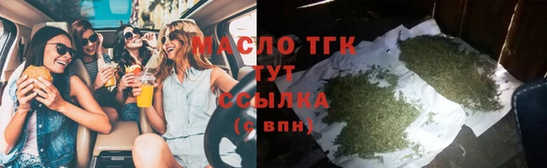 индика Тайга