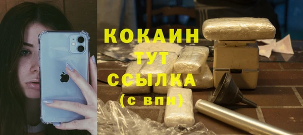эйфоретик Аркадак