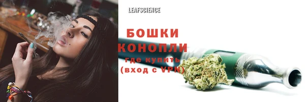 мескалин Арсеньев