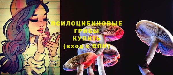 эйфоретик Аркадак