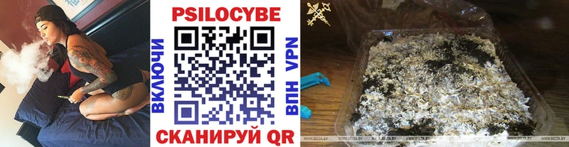 OMG рабочий сайт  где найти   Казань  Галлюциногенные грибы мицелий 